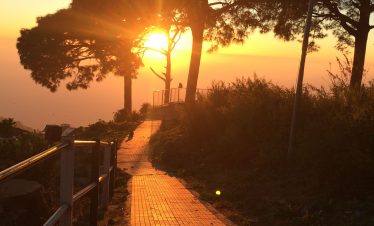 Delhi to Kasauli Cab Service With IXC Travels