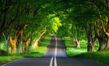 Delhi to Rishikesh Cab Services
